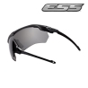 Lunettes Balistiques ESS Crossbow Suppressor 2X verres fumes
