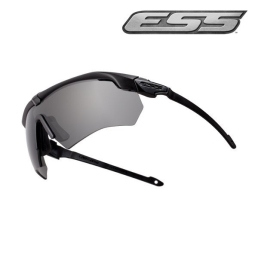 Lunettes Balistiques ESS Crossbow Suppressor 2X verres fumes