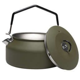 Bouilloire en acier inoxydable verte