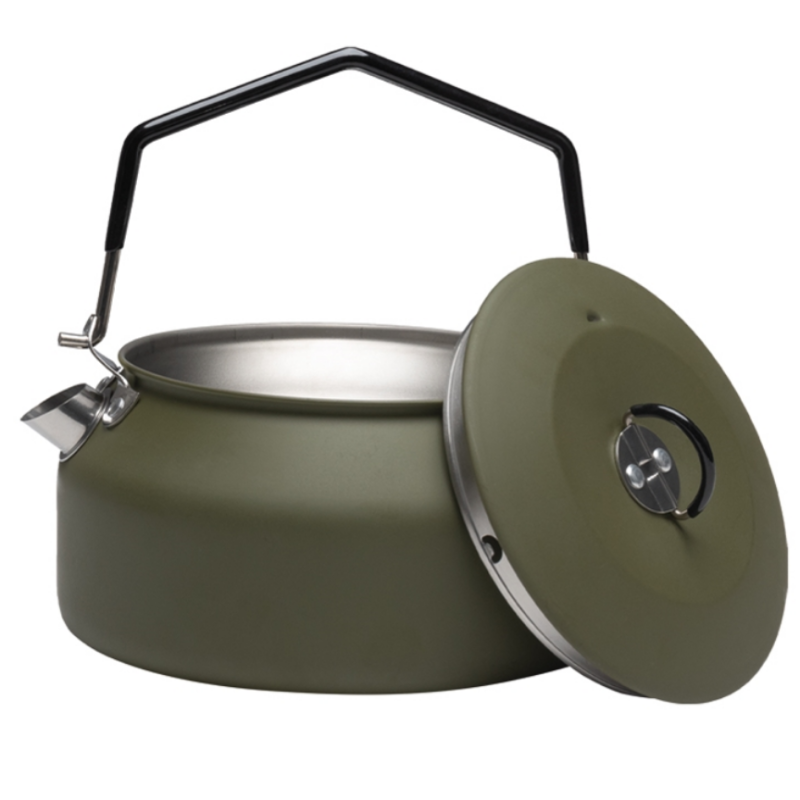 Bouilloire en acier inoxydable verte