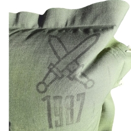 Matelas gonflable oreiller