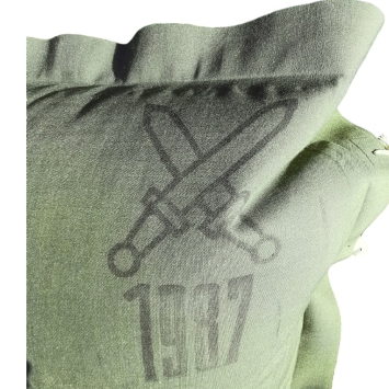 Matelas gonflable oreiller