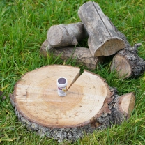 Allumettes tempête BCB x25 – Approuvées OTAN, boîtier étanche