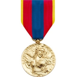 Médaille Défense Nationale or
