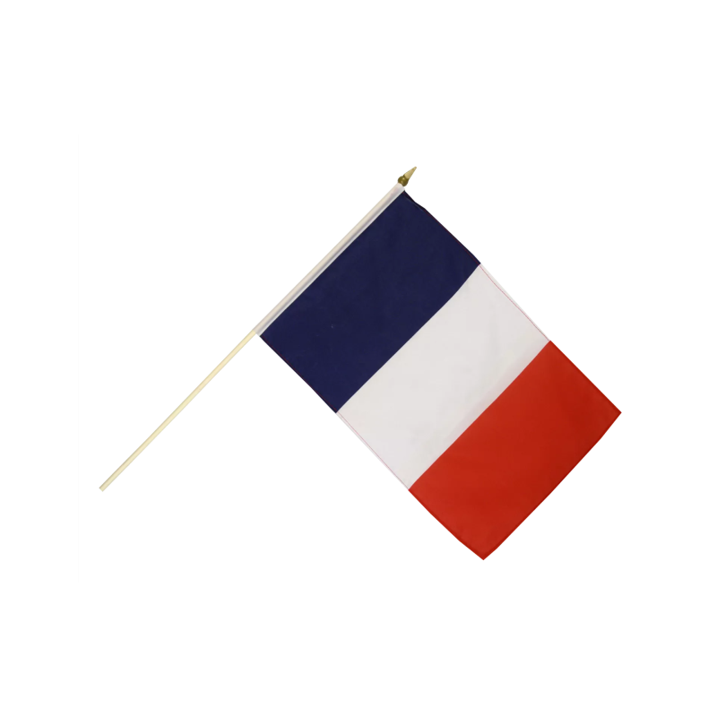 Drapeau FRANCE avec hampe 45x30 cm