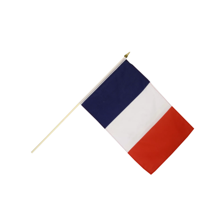 Drapeau FRANCE avec hampe 45x30 cm